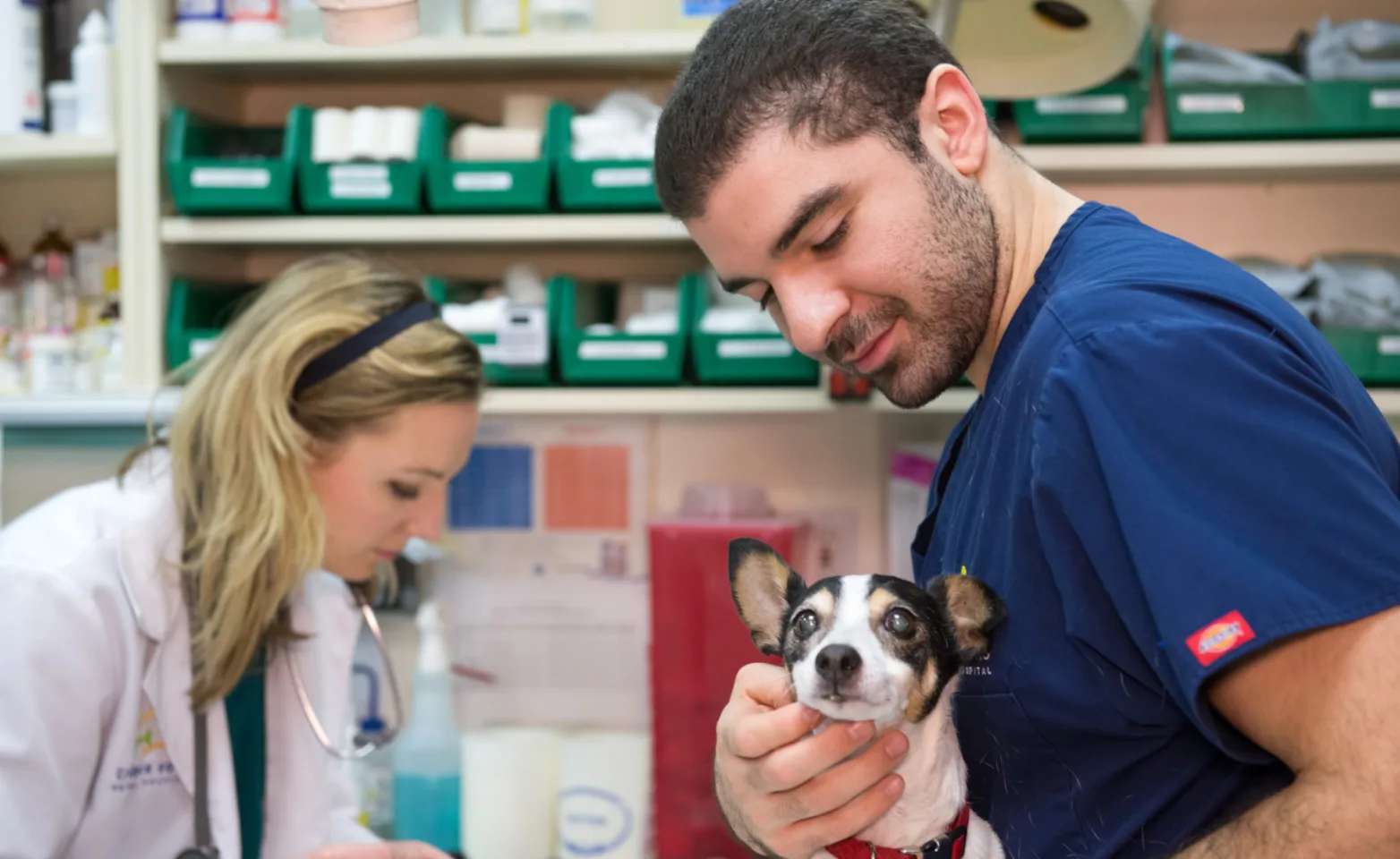 Veterinary staff with dog at Tribeca Soho Animal Hospital